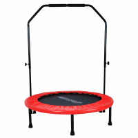 Фітнес батут з ручкою InSportLine Skippy Plus 122 см