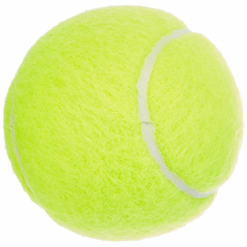 Мячи для тенниса Dunlop Fort TS, 4 шт, металлическая банка
