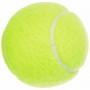 М'ячі для тенісу Dunlop Fort TS, 4 шт, металева банка