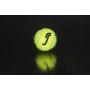 М'ячі для тенісу Robin Soderling All Court Black Edition, 4 шт.