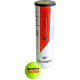 Мячи для тенниса Tecnifibre X-One, 4 шт.