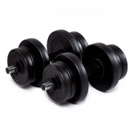 Гантели битумные Iron Body 2 x 11 кг с перчатками