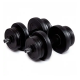 Гантели битумные Iron Body 2 x 11 кг с перчатками