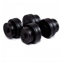 Гантелі бітумні Iron Body 2 x 16 кг з рукавичками
