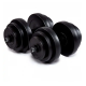 Гантелі бітумні Iron Body 2 x 18,5 кг з рукавичками