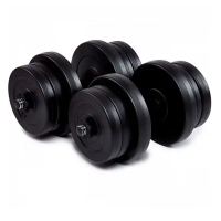 Гантели битумные Iron Body 2 x 21 кг с перчатками