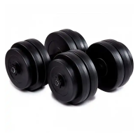 Гантелі бітумні Iron Body 2 x 26 кг з рукавичками