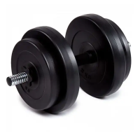 Гантель бітумна Iron Body 16 кг з рукавичками