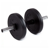 Гантель битумная Iron Body 5,5 кг с перчатками