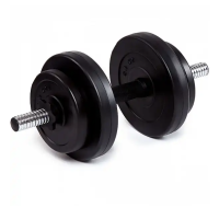 Гантель битумная Iron Body 8 кг с перчатками