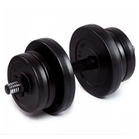 Гантель бітумна Iron Body 10,5 кг з рукавичками