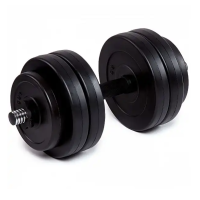 Гантель бітумна Iron Body 13 кг з рукавичками