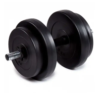 Гантель бітумна Iron Body 15,5 кг з рукавичками