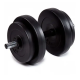 Гантель бітумна Iron Body 15,5 кг з рукавичками