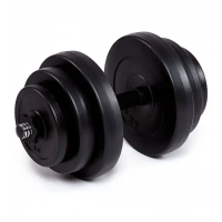 Гантель бітумна Iron Body 18 кг з рукавичками