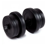 Гантель бітумна Iron Body 20,5 кг з рукавичками