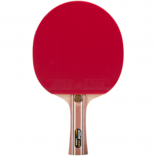 Ракетка для настільного тенісу ATEMI PRO 3000