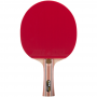 Ракетка для настільного тенісу ATEMI PRO 3000