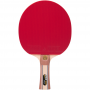 Ракетка для настільного тенісу ATEMI PRO 4000
