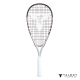 Набор для скоростного бадминтона Talbot Speedbadminton Set Speed 7700