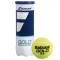 М'ячі для тенісу Babolat Gold High Altitude x 3ball