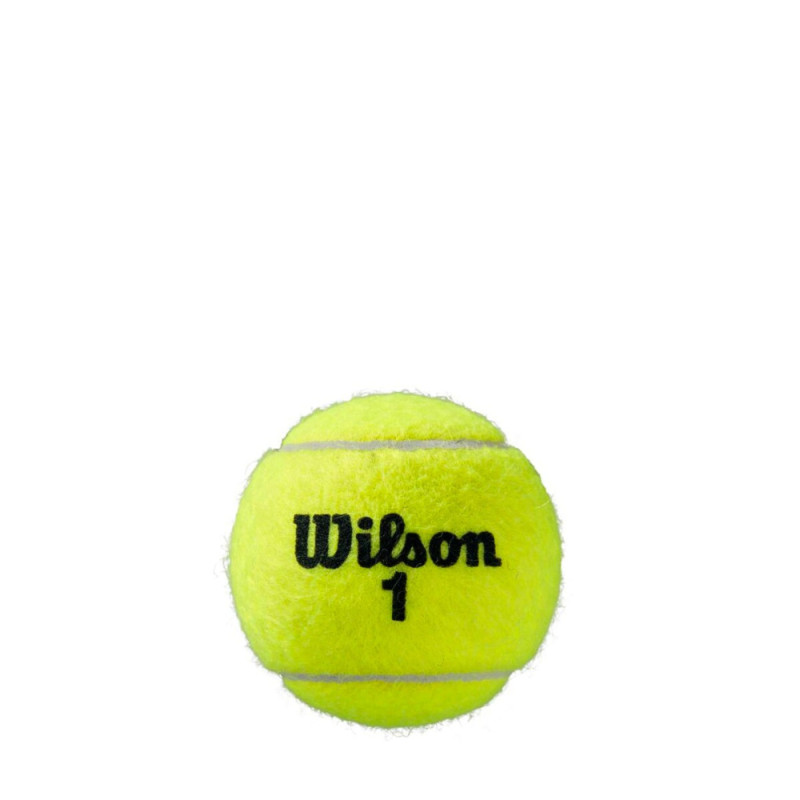Мячи для тенниса Wilson ROLAND GARROS ALL CT, 4 шт.