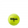 Мячи для тенниса Wilson ROLAND GARROS ALL CT, 4 шт.