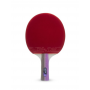 Ракетка для настільного тенісу ATEMI 400A