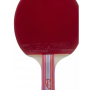 Ракетка для настільного тенісу ATEMI 600