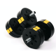 Гантелі розбірні Besport PowerPro 2х11 кг