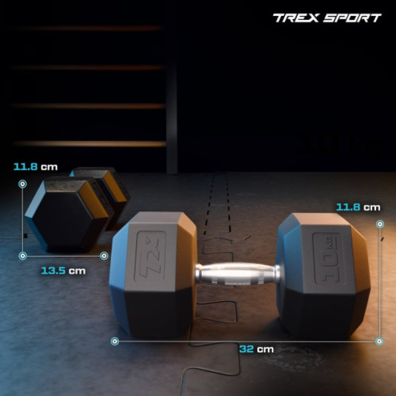 Шестигранная обрезиненная гантель TX-100RD Trex Sport 10 кг