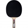 Набір для пінг-понгу Donic Legends 800 FSC (1 ракетка, чохол, 3 м'яча)