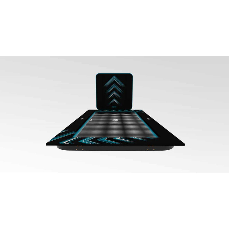 Батут Berg Ultim FlatGround Elite Black 500x300 см с AeroWall Black 2x2
