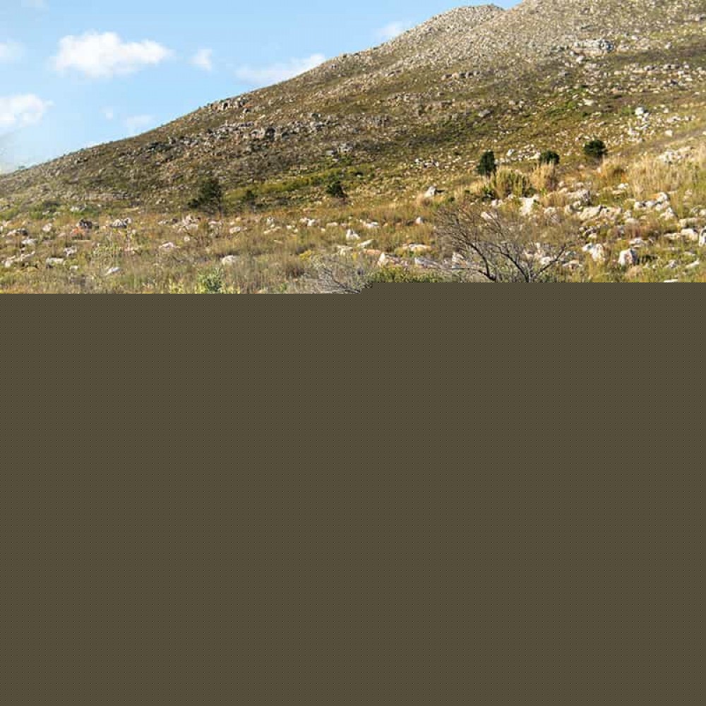 Двухместная палатка-тоннель Naturehike Cloud tunnel 2 NH20ZP006, 20D, темно-зеленая