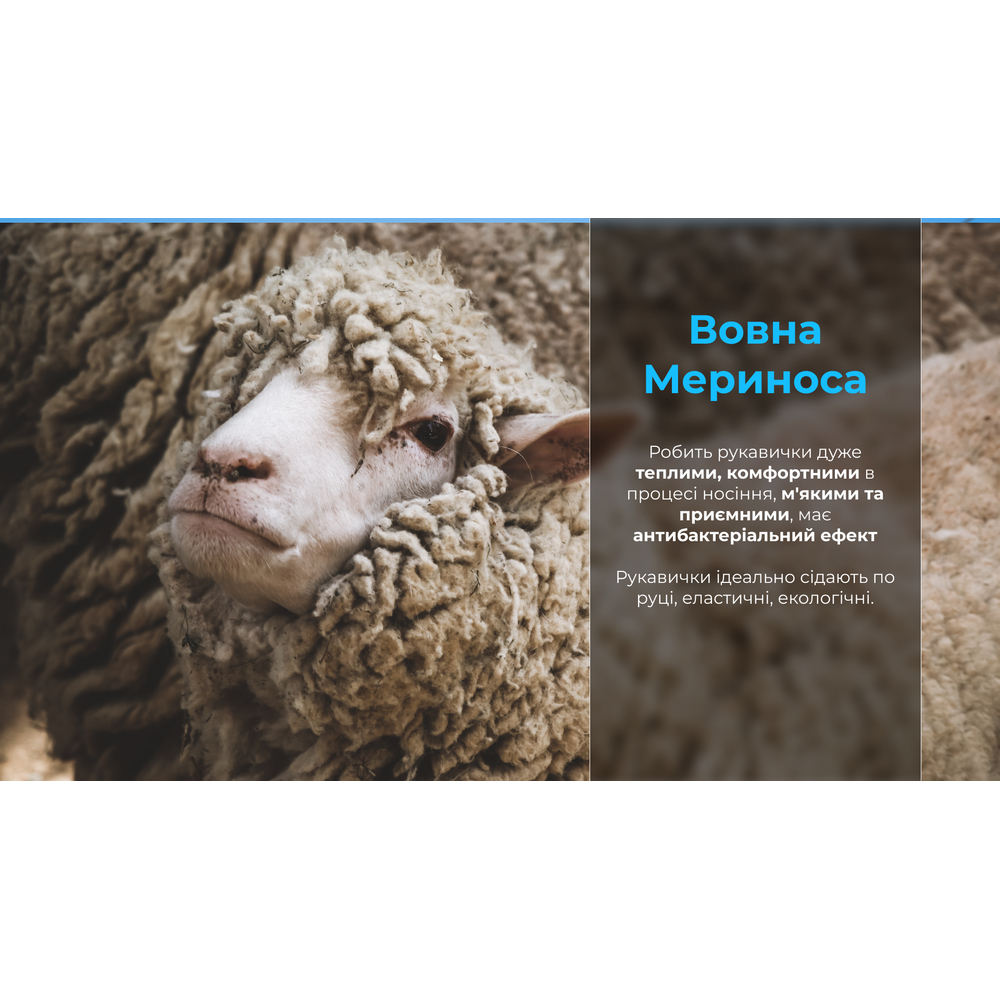 Перчатки водонепроницаемые Dexshell ThermFit Gloves, p-p S, оранжевые