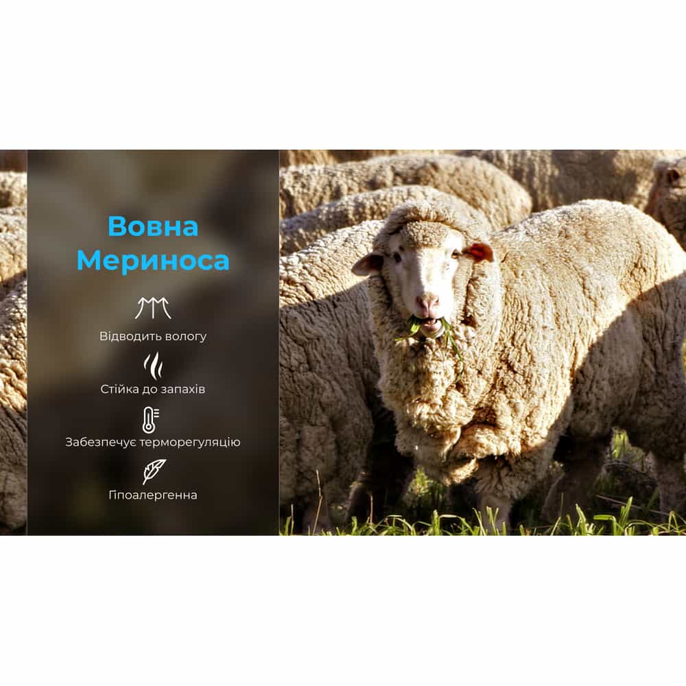 Носки водонепроницаемые Dexshell Hytherm Pro Socks, размер S, черные с коричневой полосой