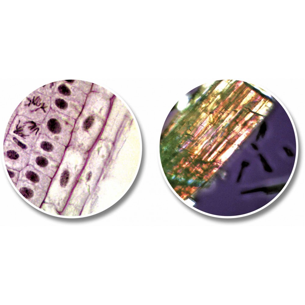 Мікроскоп National Geographic Junior 40x-640x + Телескоп 50/360 з кейсом (9118200)