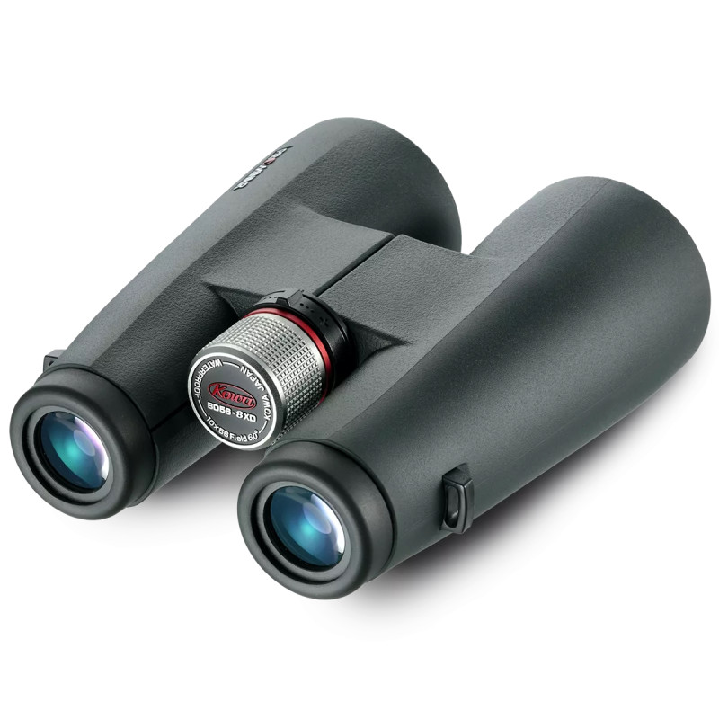 Бинокль Kowa BD 8x56 XD Prominar (11115)