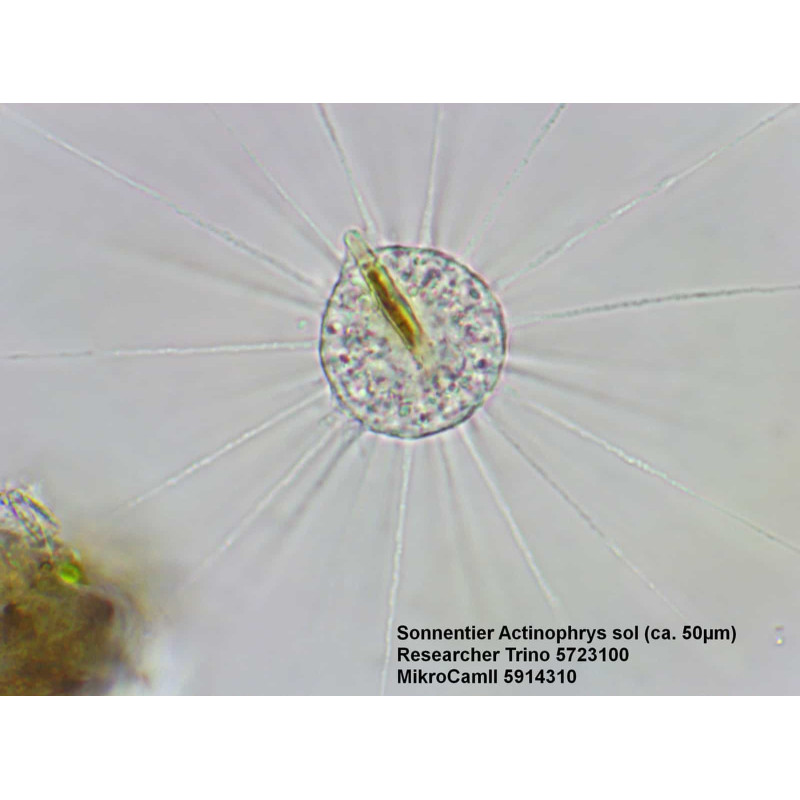 Микроскоп Bresser Trino Researcher 40x-1000x (5723100)