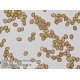 Микроскоп Bresser Trino Researcher 40x-1000x (5723100)