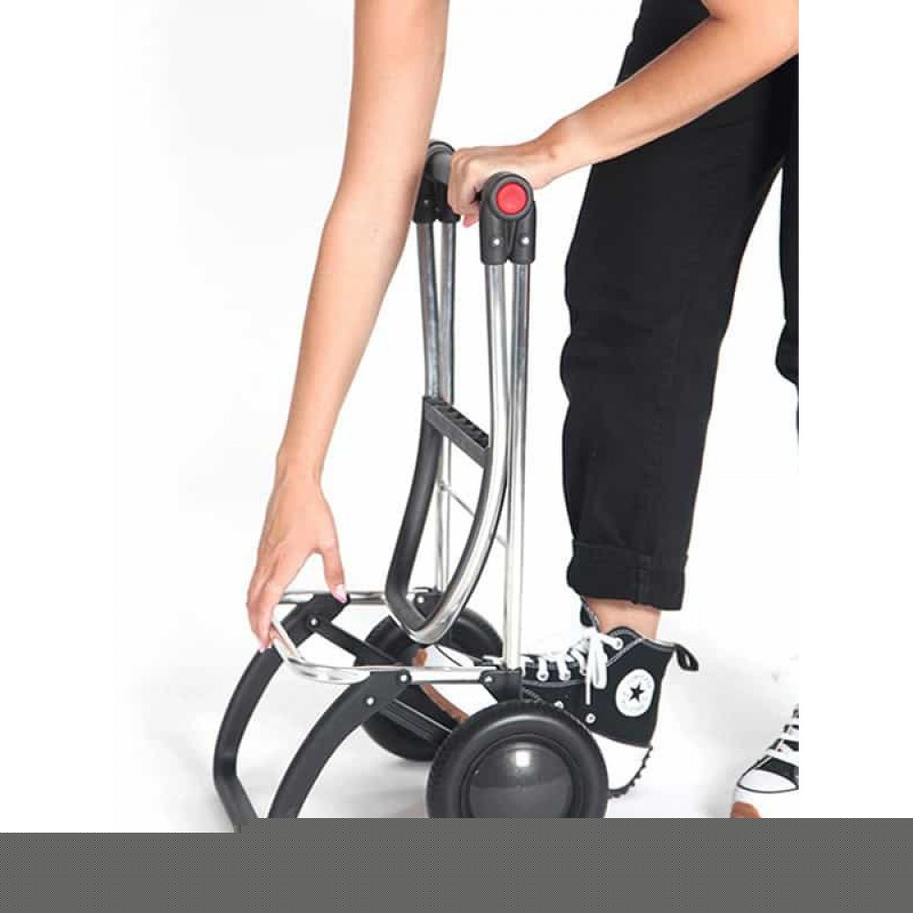 Сумка-візок Rolser I-Max MF 2L Klein (IMX304-1062)