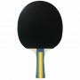 Ракетка для настольного тенниса Joola Team Master (52001)
