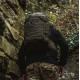 Рюкзак тактический Highlander Harrier 45L Ranger Green (TT210-RG)