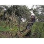 Бинокль Kowa Genesis XD 10.5x44 (10821)