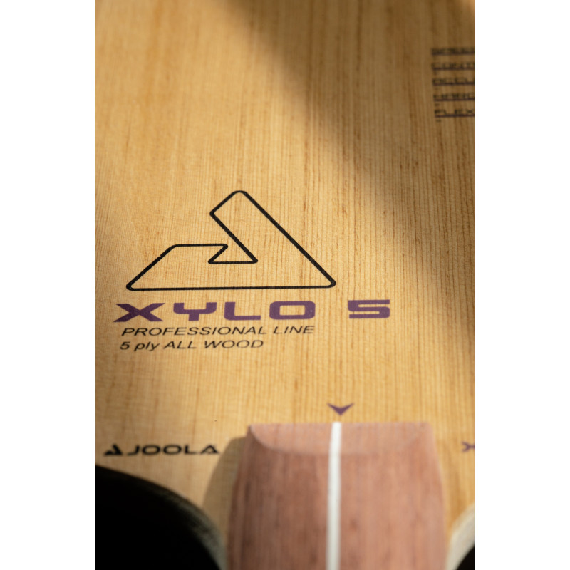 Основа для ракетки Joola XYLO 5 FL (65080)