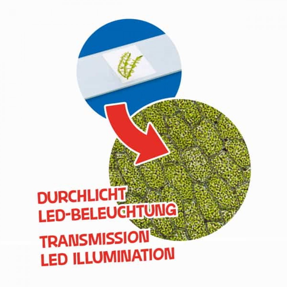 Микроскоп Bresser Junior 40x-640x Blue с набором для экспериментов и адаптером для смартфона (8851300WXH000)