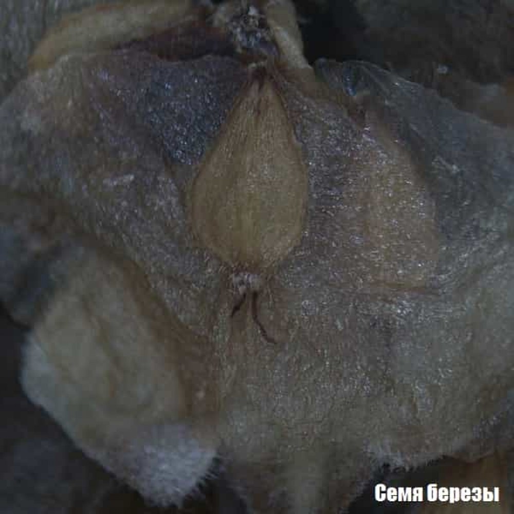 Микроскоп National Geographic Stereo 20x (9119000)