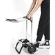 Сумка-візок Rolser Big Polar 2L Negro (BIG004-1023)