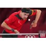 Ракетка для настільного тенісу Butterfly Timo Boll Specialist FL (6110400002)