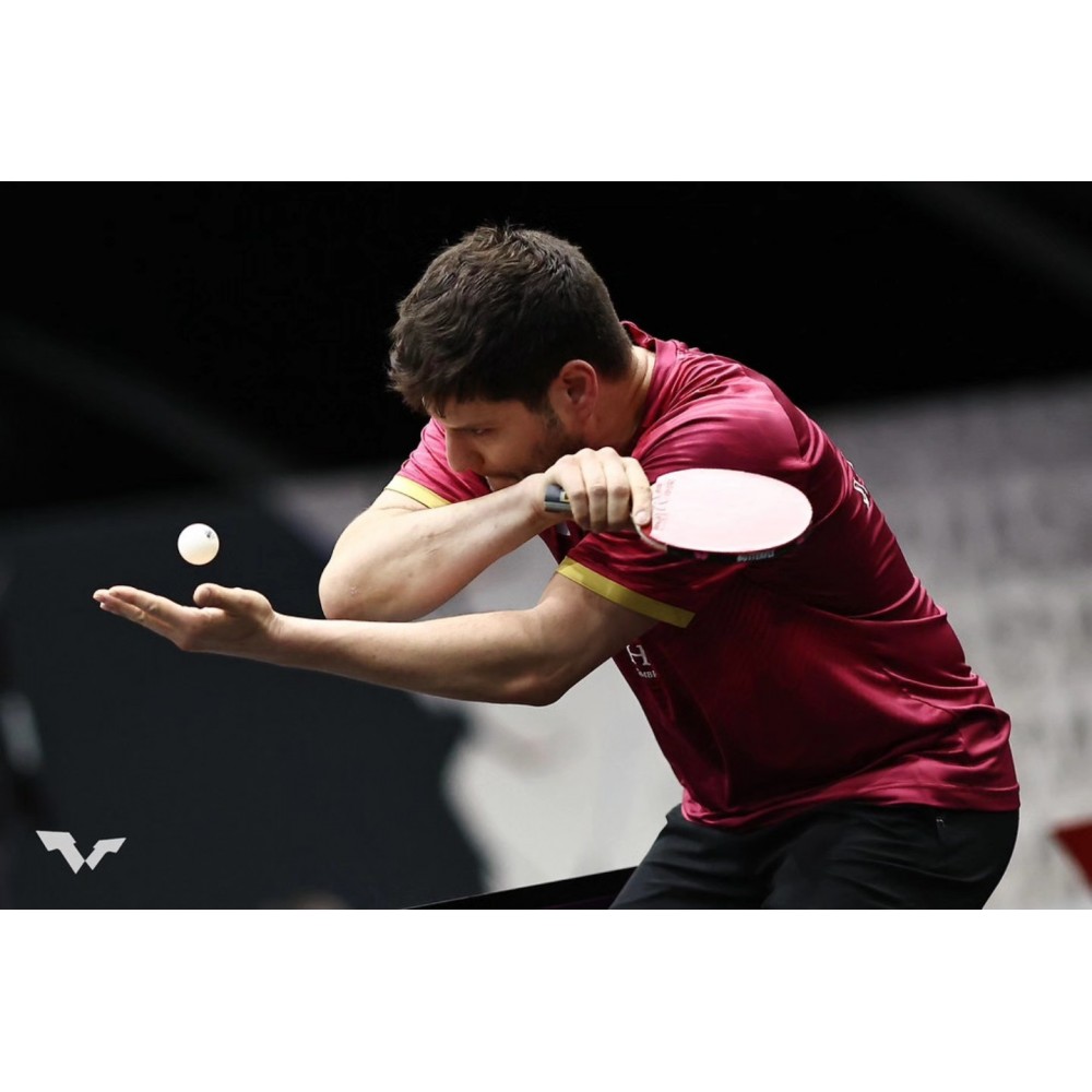 Ракетка для настільного тенісу Butterfly Ovtcharov Expert FL (6116700002)